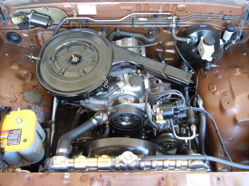 Full View