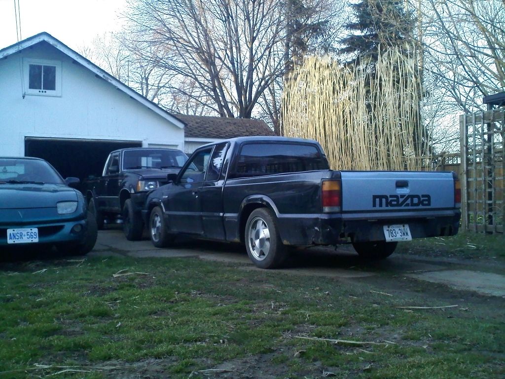 Full View