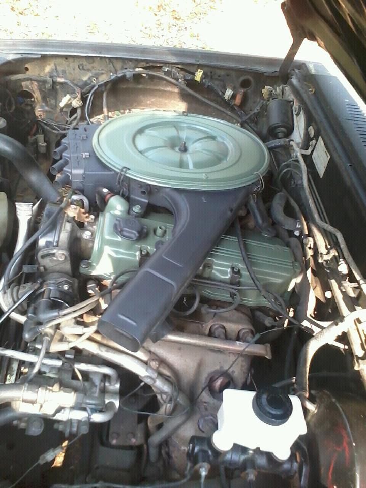 Full View
