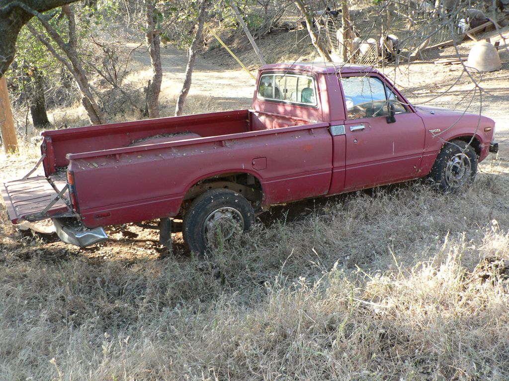 Full View
