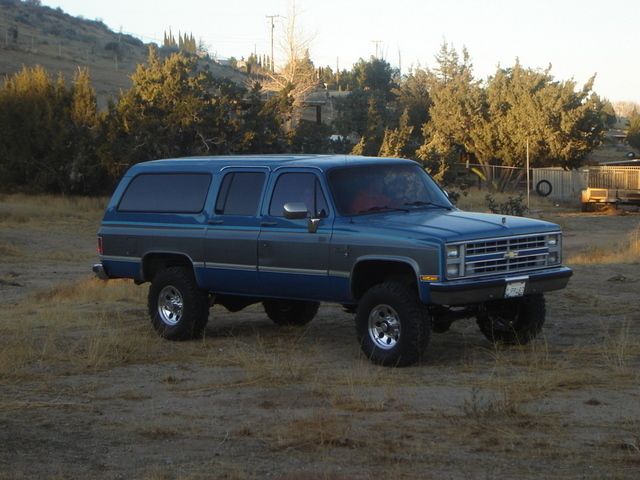 Full View