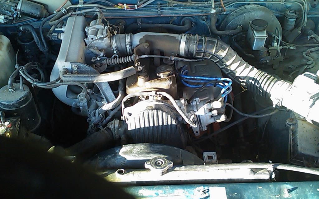 Full View