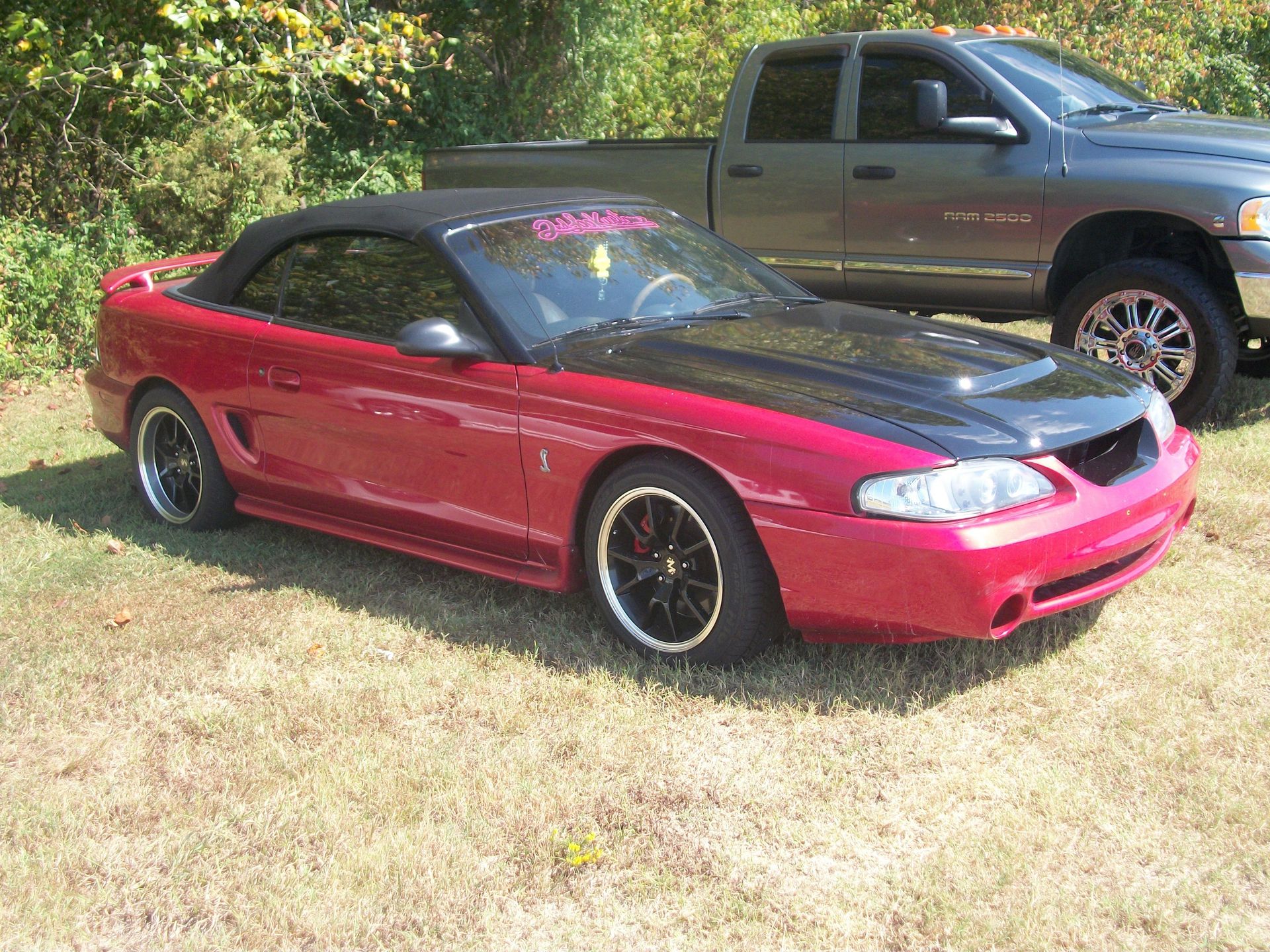 Full View