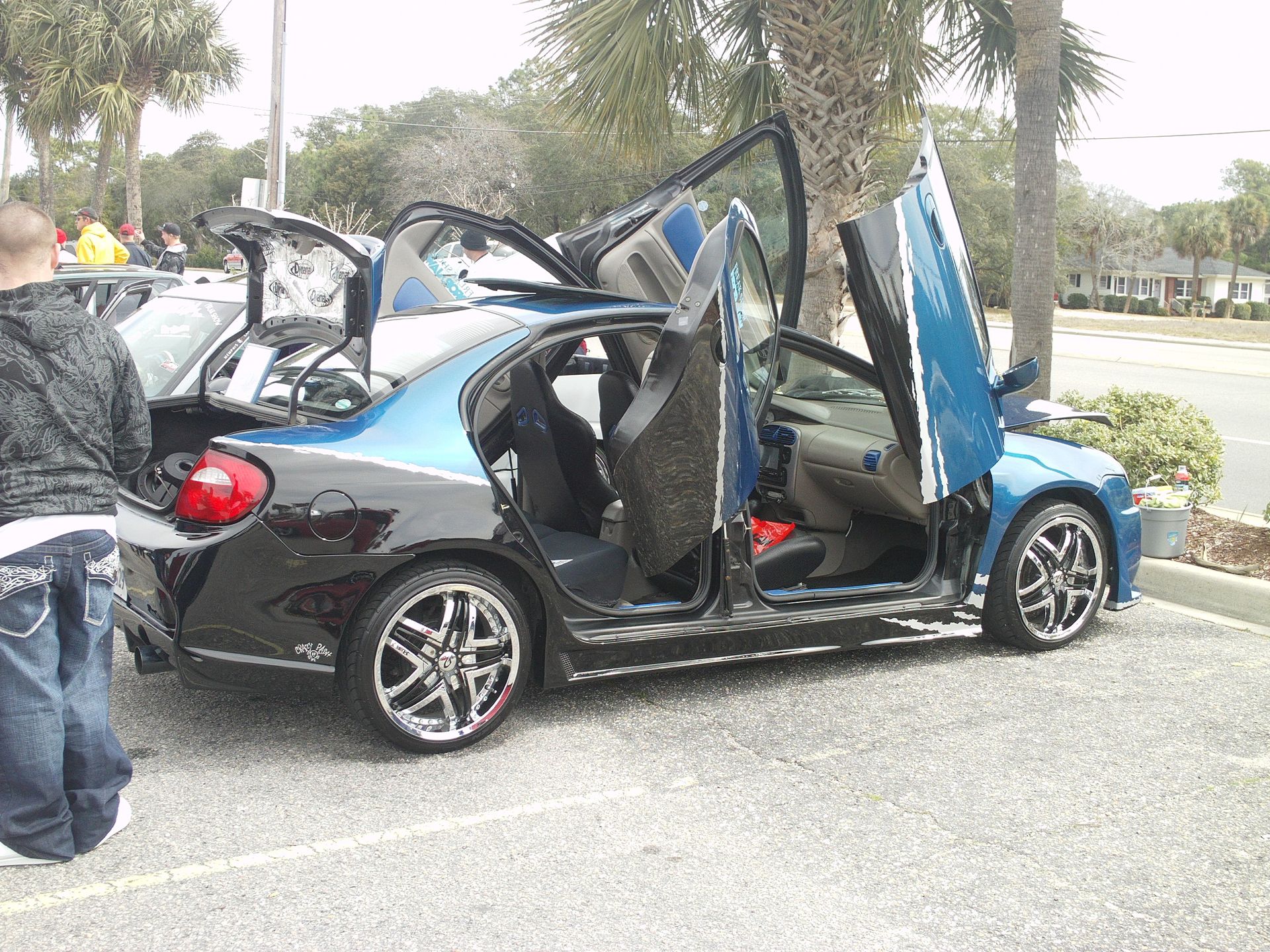 Full View