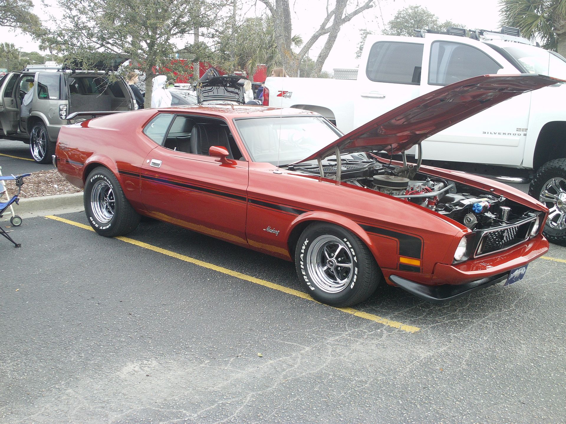 Full View