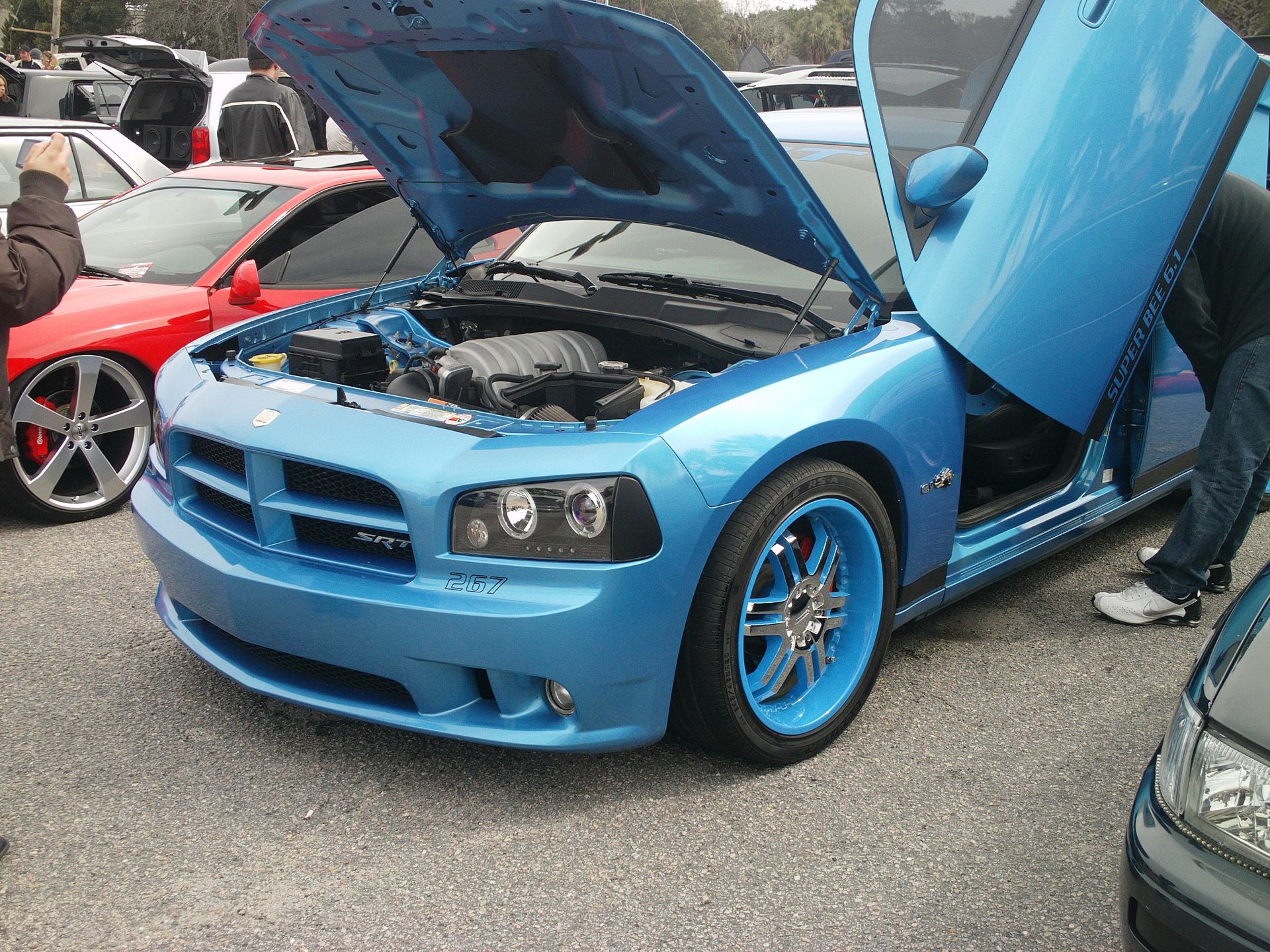 Full View