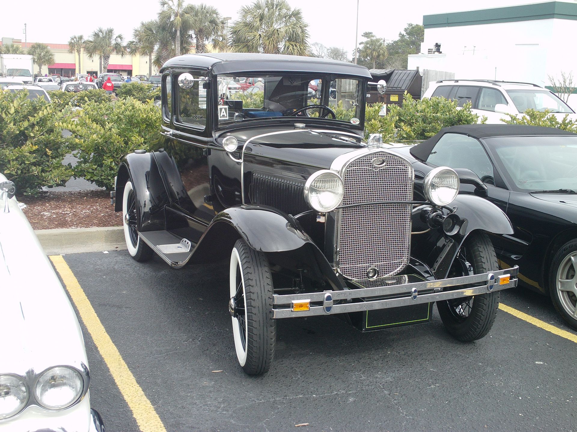 Full View