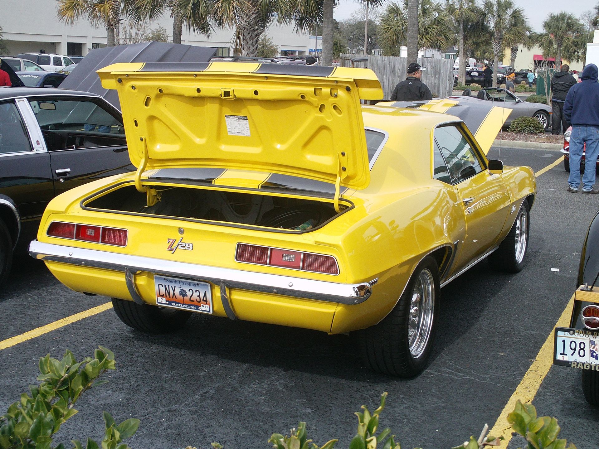Full View