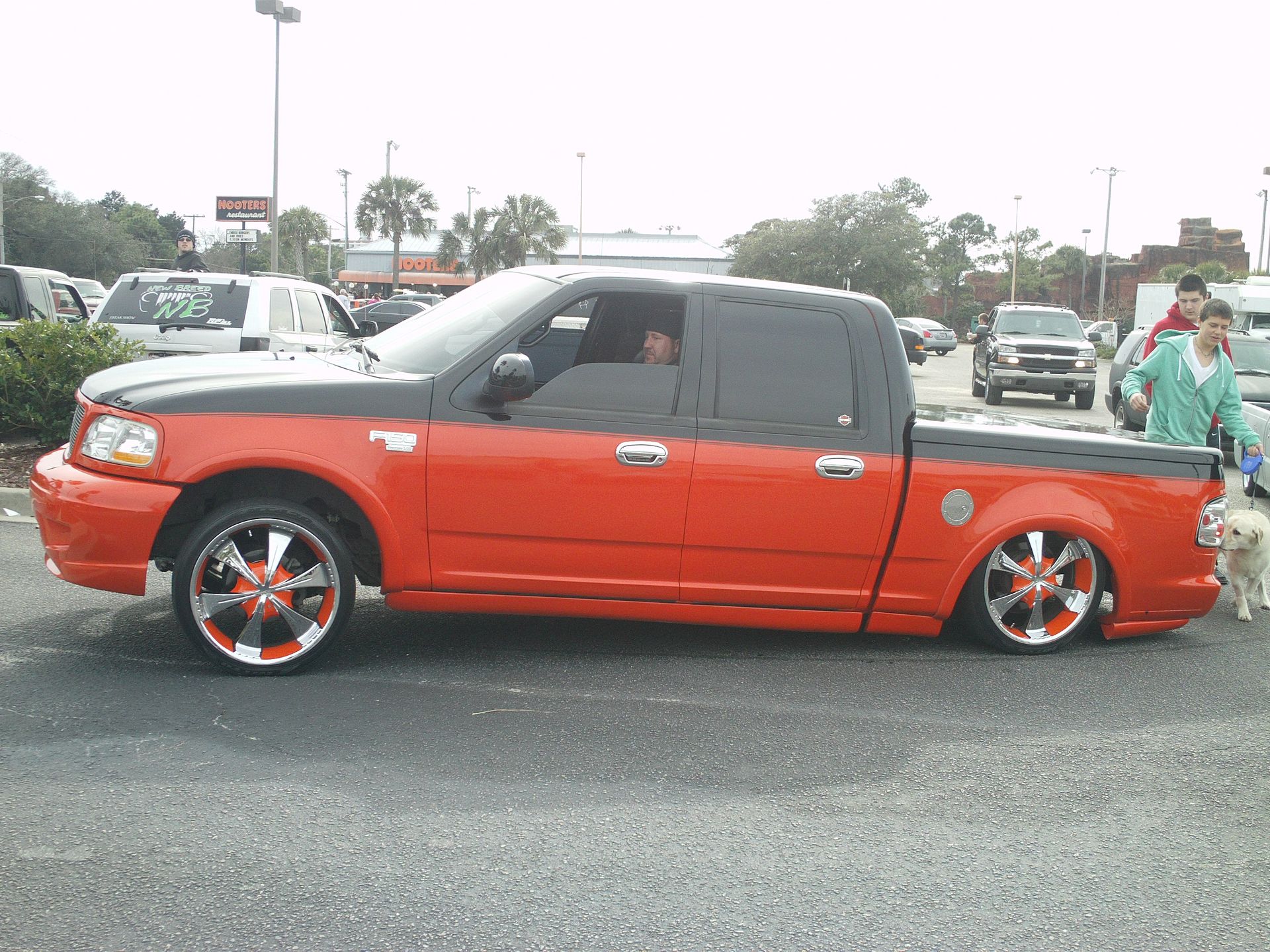 Full View