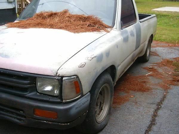 thread post photo