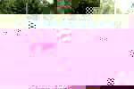 post photo