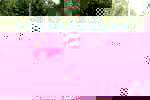 post photo