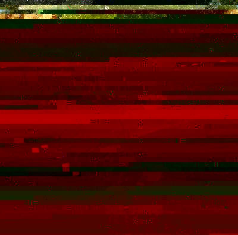 post photo