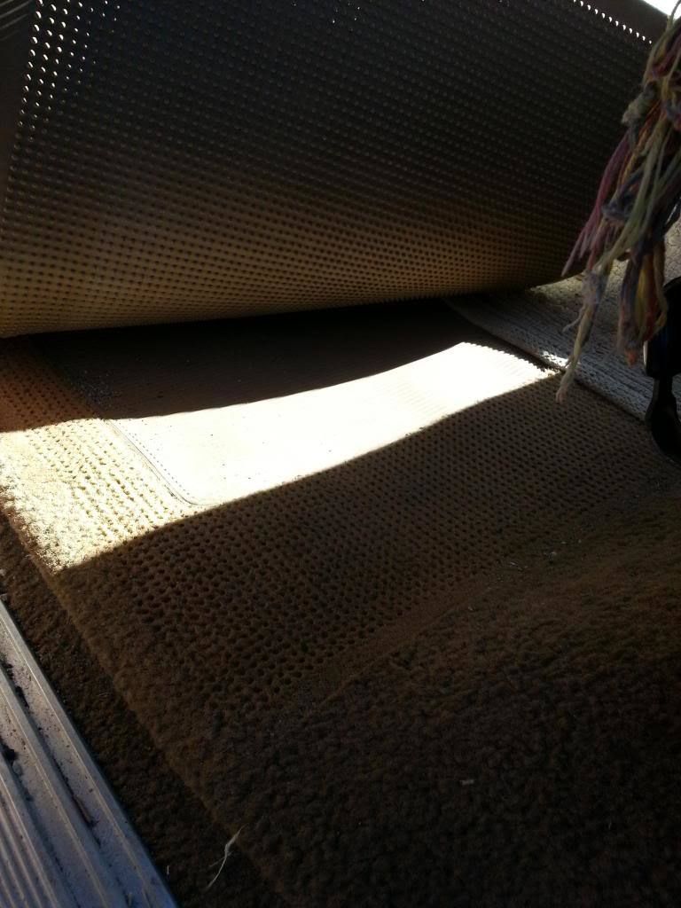 thread post photo