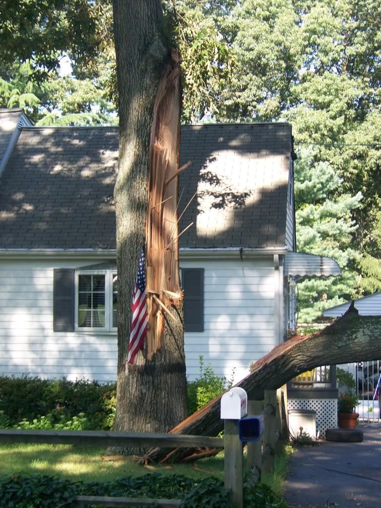 thread post photo