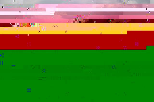 post photo
