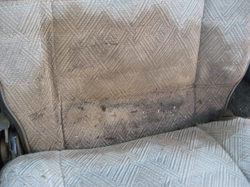 thread post photo