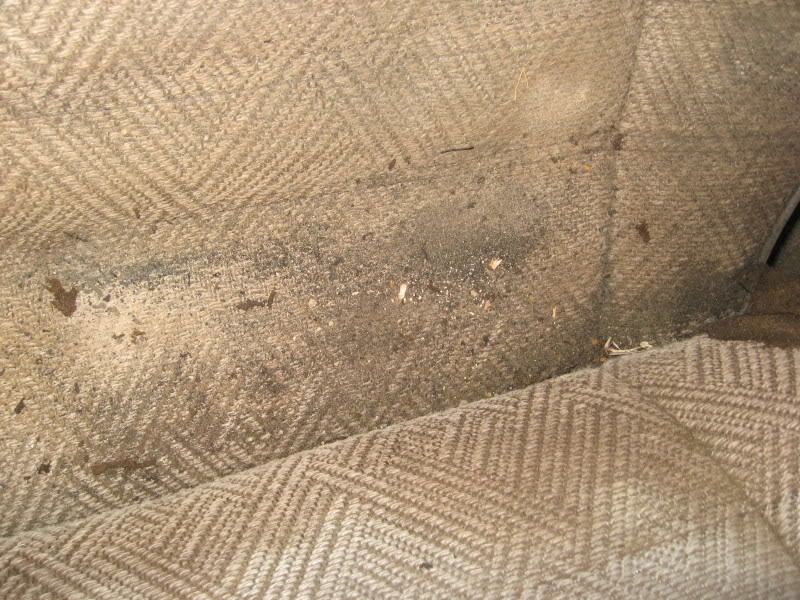 thread post photo