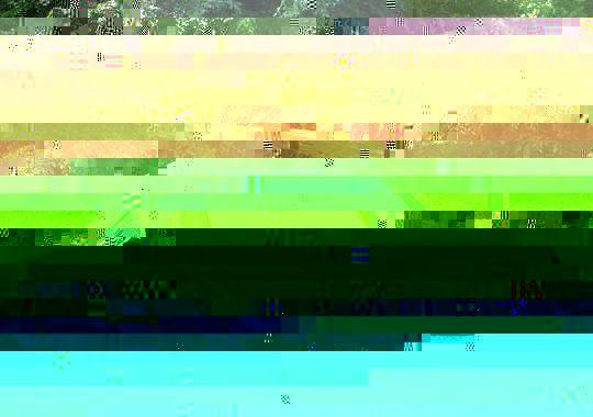 post photo