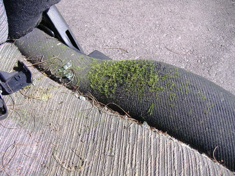 thread post photo