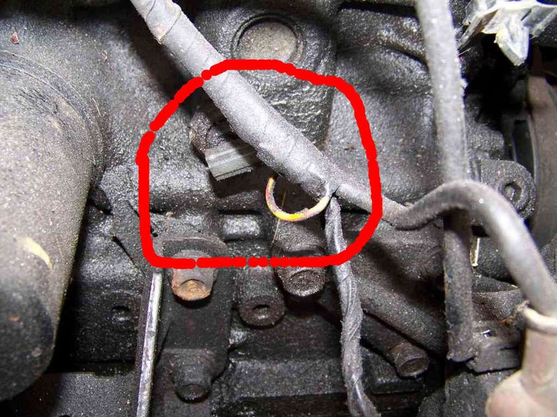 thread post photo