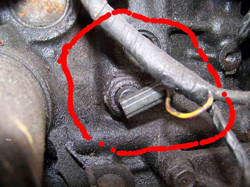 thread post photo