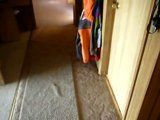thread post photo