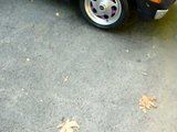 thread post photo