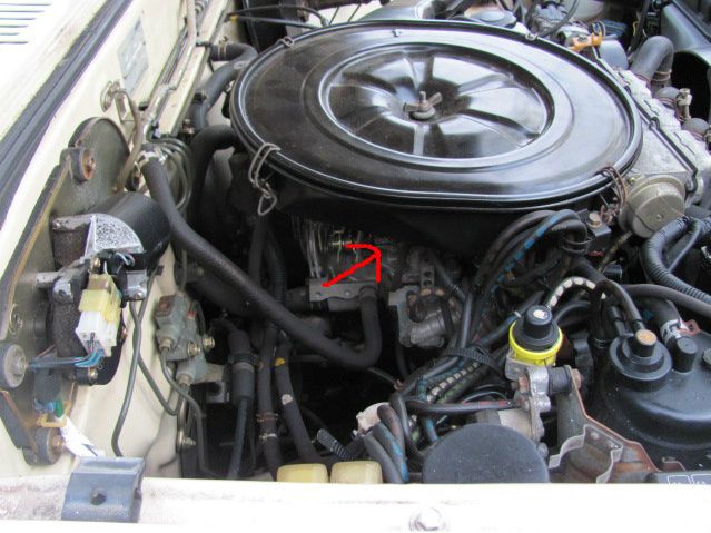 thread post photo