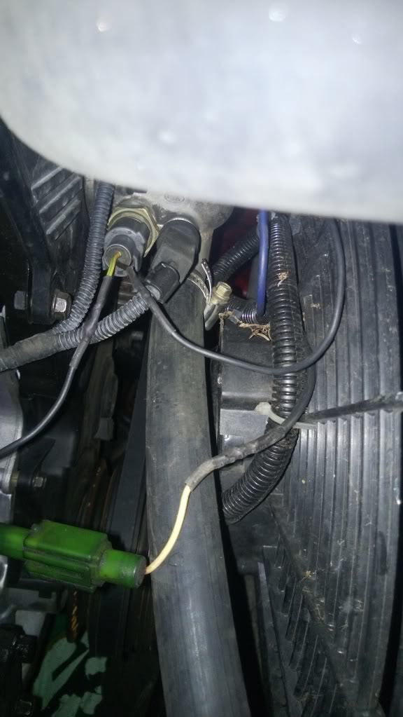 thread post photo