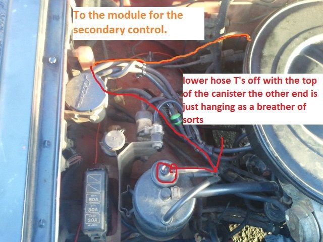 thread post photo