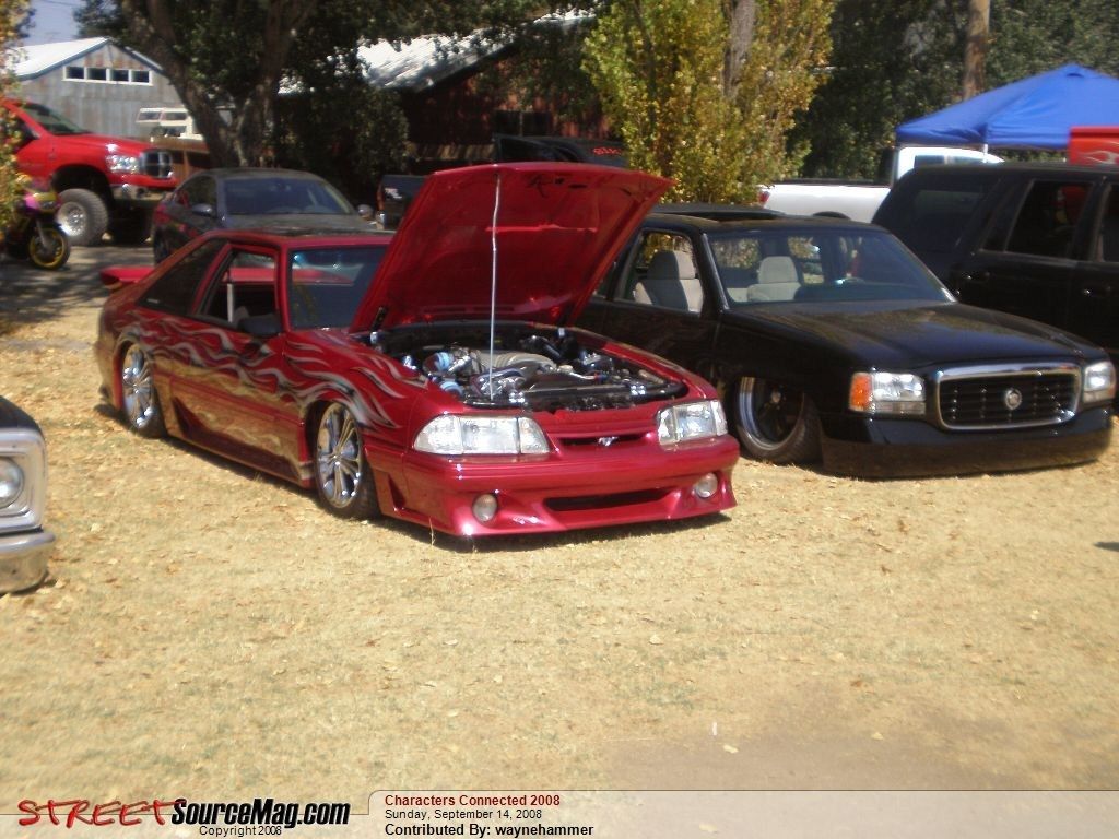 Full View