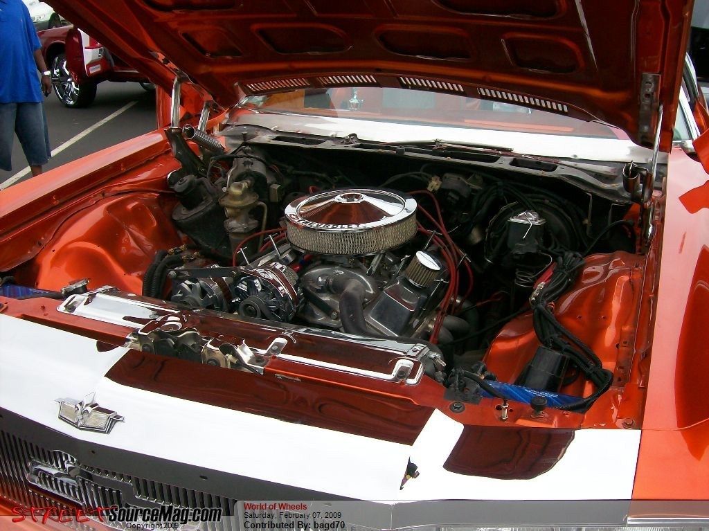 Full View