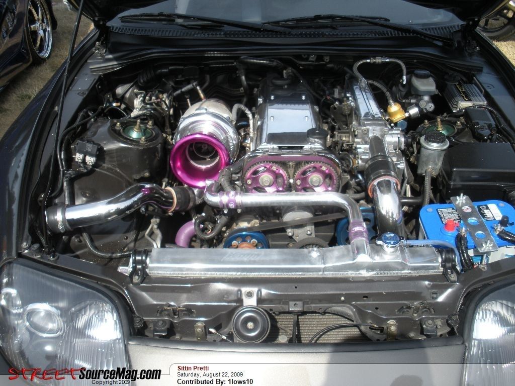 Full View
