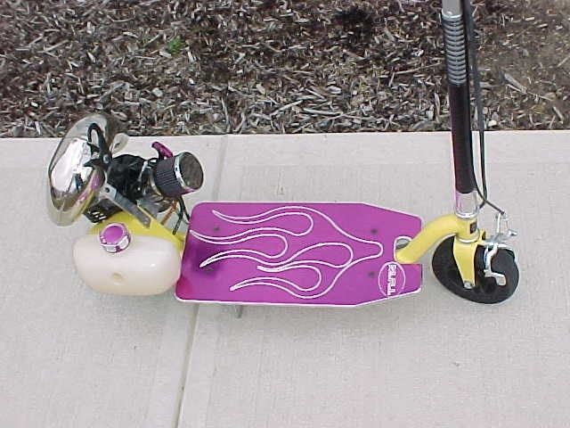 Full View