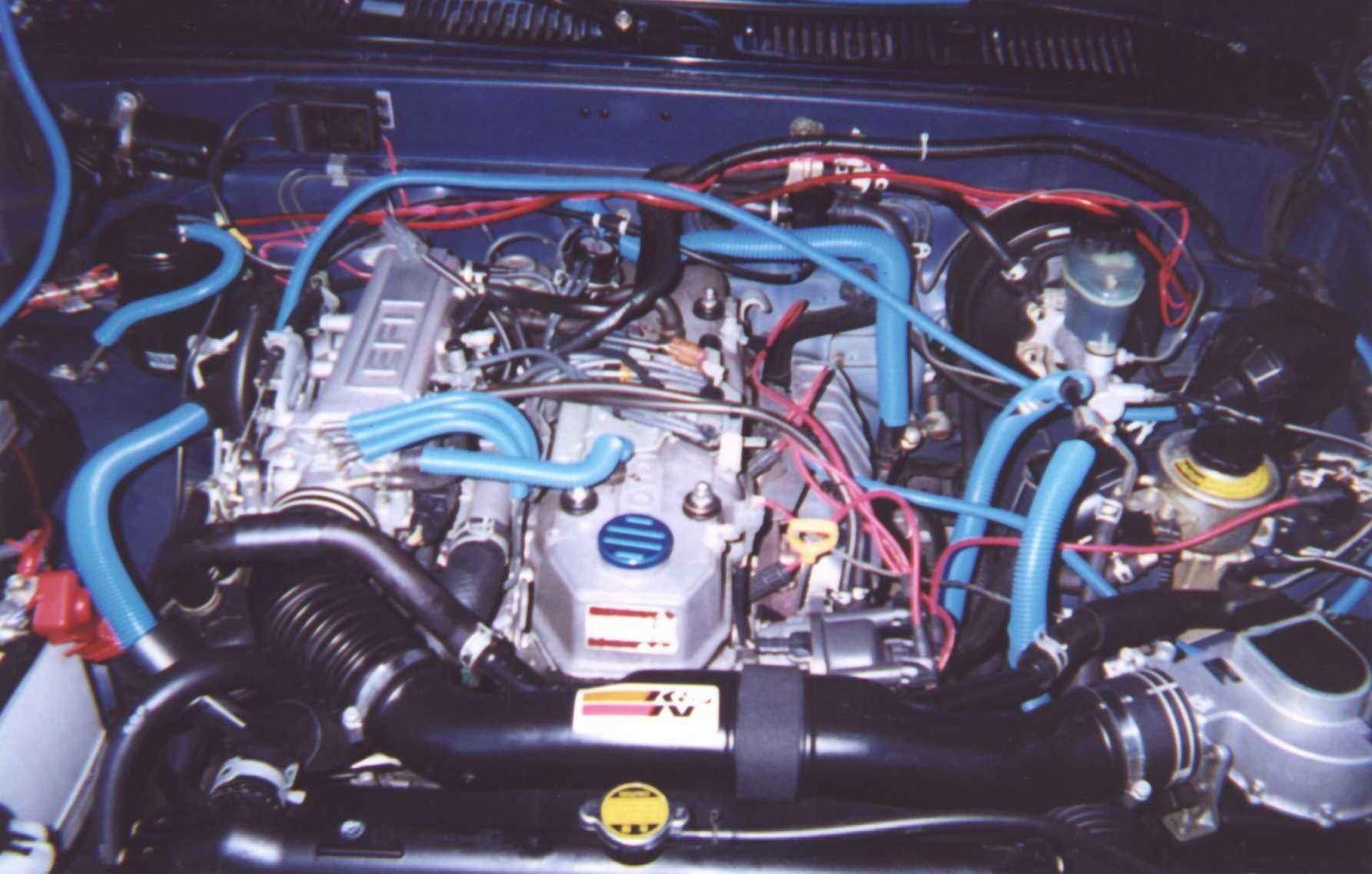 Full View