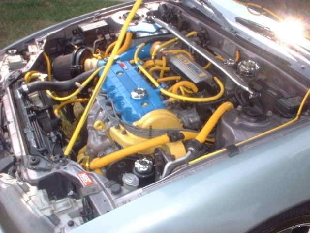 Full View