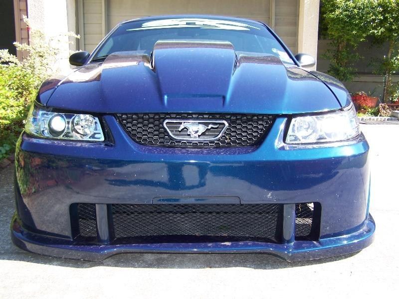 Full View