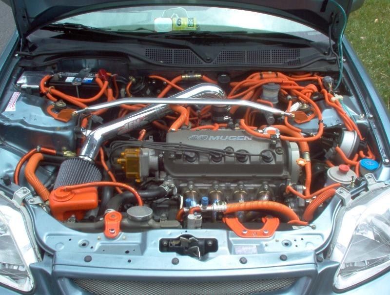 Full View