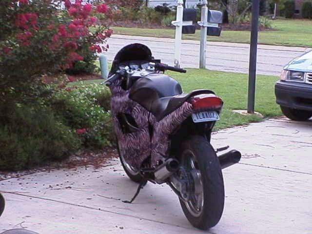Ride Image