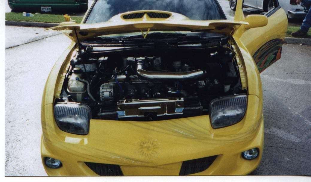 Full View
