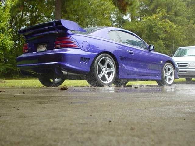 Full View