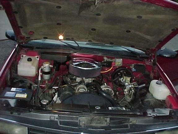 Full View