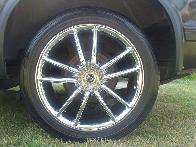 Full View