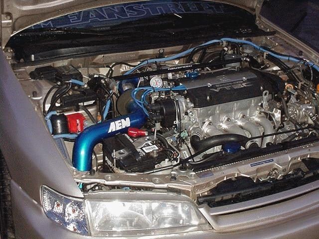 Full View