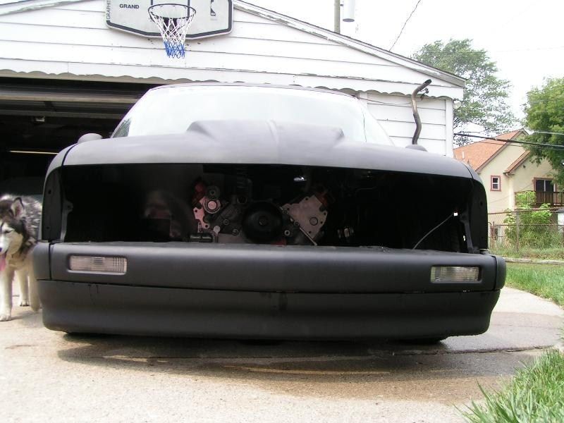 Full View