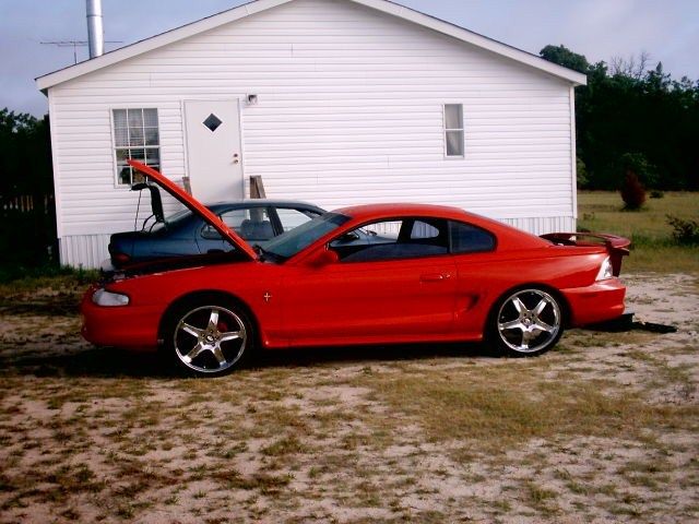 Full View