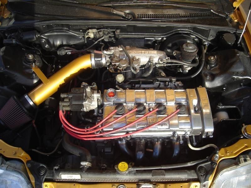 Full View