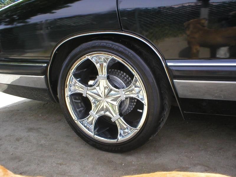 Full View