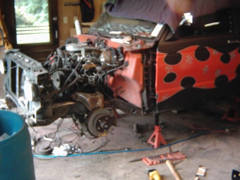 Full View